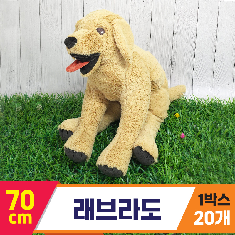 [GG]70cm 래브라도