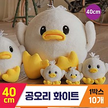 [GL]40cm 공오리 화이트