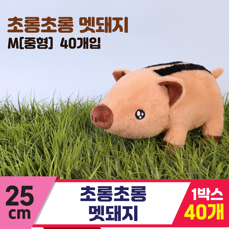 [GO]25cm 초롱초롱 멧돼지<40>