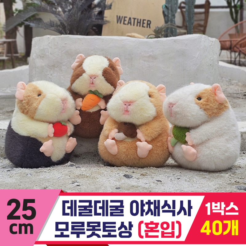 [GL]25cm 데굴데굴 야채식사 모루못토상