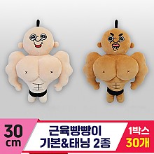 [DC]30cm 근육빵빵이 기본&태닝 2종