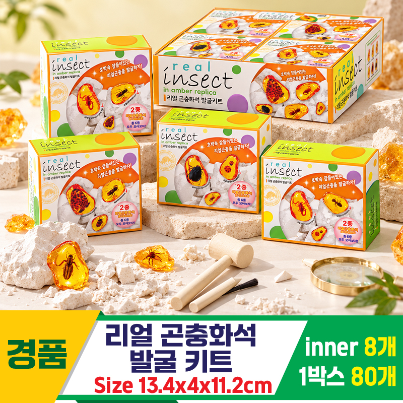 [GF]리얼 곤충화석 발굴 키트