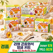 [GF]리얼 곤충화석 발굴 키트